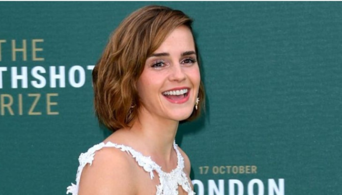 Emma Watson New Boyfriend